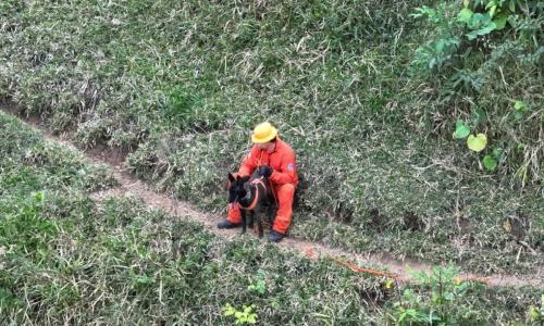 Cachorro ajudou a localizar corpo de idoso desaparecido na zona rural de Visconde do Rio Branco Foto Divulgação Corpo de Bombeiros.jpg