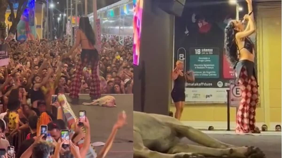Cachorro caramelo rouba a cena ao dormir em palco durante show de Marina Sena: 'estrela da noite' 