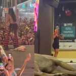 Cachorro caramelo rouba a cena ao dormir em palco durante show de Marina Sena: 'estrela da noite'