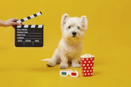 CineDog está de volta a BH