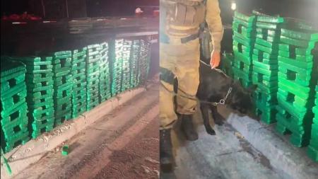 Cachorro da Polícia Militar encontrou carga de droga