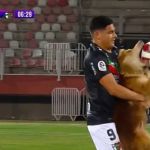 Cachorro invade campo, 'desarma' jogador e brinca com a bola; veja