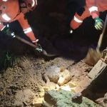 Cachorro é soterrado por muro de quatro metros em Barbacena  