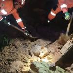 Cachorro é soterrado por muro de quatro metros em Barbacena