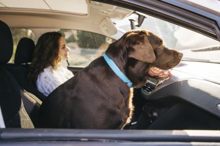 Manter o carro limpo, livre de odores desagradáveis e preservar a saúde dos ocupantes do veículo é possível com passos simples
