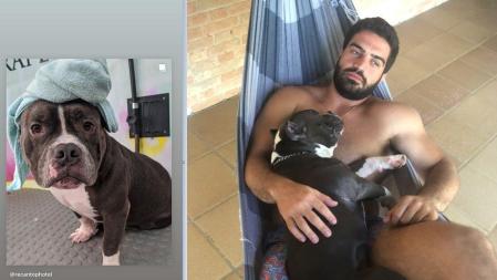 Justiça de São Paulo condena Latam a pagar R$ 30 mil por morte de cachorro em voo | CNN Brasil