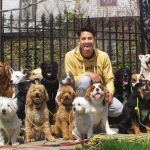 Vídeo: passeador de cães consegue passear até com 40 cachorros ao mesmo tempo