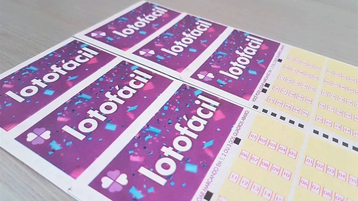 Lotofácil concurso 2.925: cinco apostas dividem prêmio milionário; veja dezenas