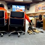 Publicada lei que autoriza uso de corpos humanos no treino de cães em BH
