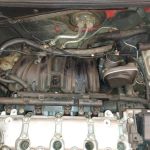 Bombeiros resgatam cadela que ficou presa em motor de carro no interior de Minas