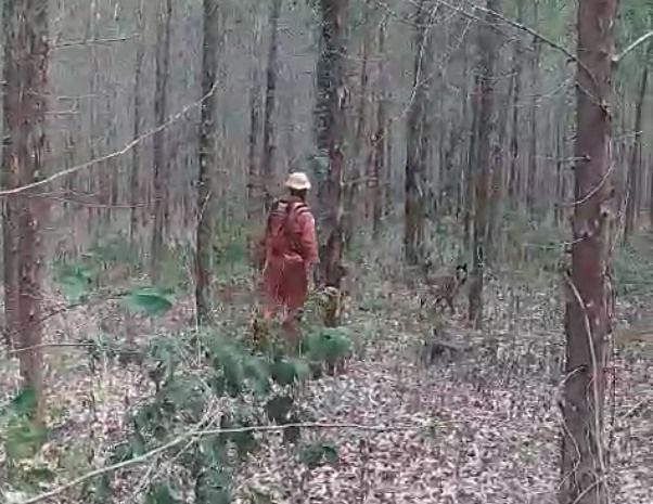 Após busca com cães bombeiros, idoso desaparecido em MG é encontrado