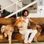 Cães de Jeff Machado são adotados; animais foram importantes para resolver caso
