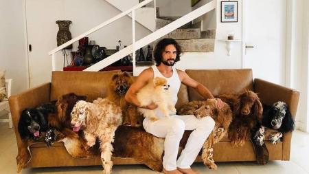 Cães de Jeff Machado são adotados; animais foram importantes para resolver caso.