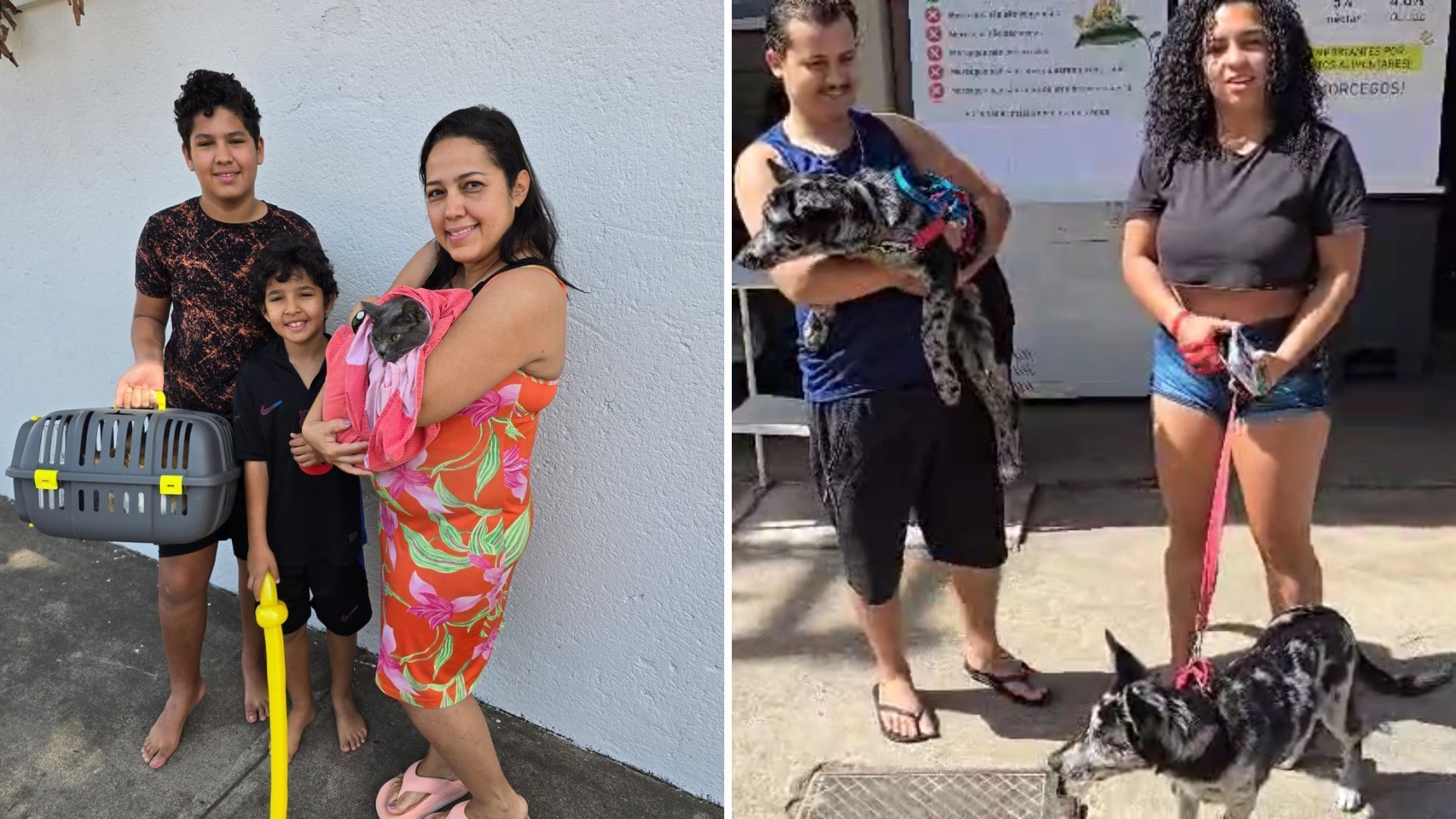 Pets recebem vacina contra raiva em BH: 'Segurança para a toda a família'