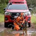 Audiência na CMBH irá discutir uso de restos humanos no treinamento de cães farejadores