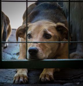 Reprodução: Freepik