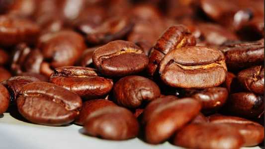 Café contaminado: foram encontrados cascas e paus em quantidades acima do limite permitido, além da Ocratoxina 'A', que é comprovadamente cancerígena