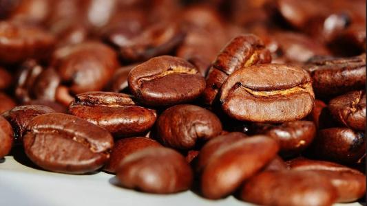 Café contaminado: foram encontrados cascas e paus em quantidades acima do limite permitido, além da Ocratoxina 'A', que é comprovadamente cancerígena