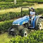 Minas fazendo história: agro supera a mineração