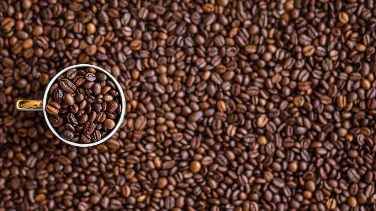 Crise nos portos impede exportação de 453 mil sacas de café em junho