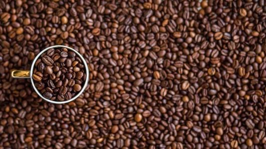 O Brasil deve colher mais de 54,7 milhões de sacas de café em 2023