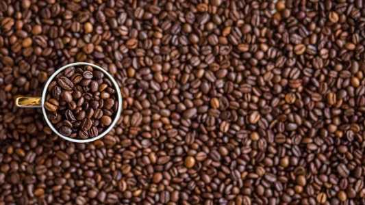 O Brasil deve colher mais de 54,7 milhões de sacas de café em 2023