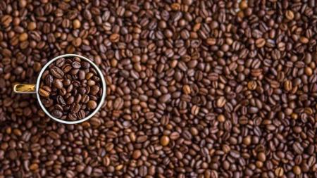 O Brasil deve colher mais de 54,7 milhões de sacas de café em 2023
