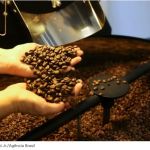 Valdir Barbosa | Café tem alta global de 9% reflexo dos estoques reduzidos e tarifaço de Trump