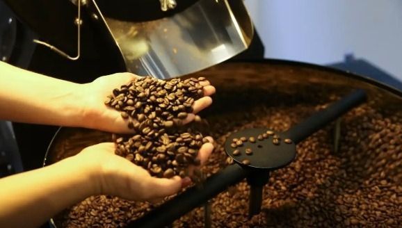Cooperativa de café anuncia alívio imediato com redução das tarifas de Trump
