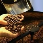 Cooperativa de café anuncia alívio imediato com redução das tarifas de Trump
