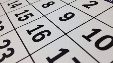 Quiz: Teste seus conhecimentos sobre os feriados de novembro | CNN Brasil