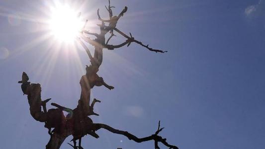 O meteorologista destaca que os europeus, por exemplo, não são equipados para lidar com o calor como são para o frio