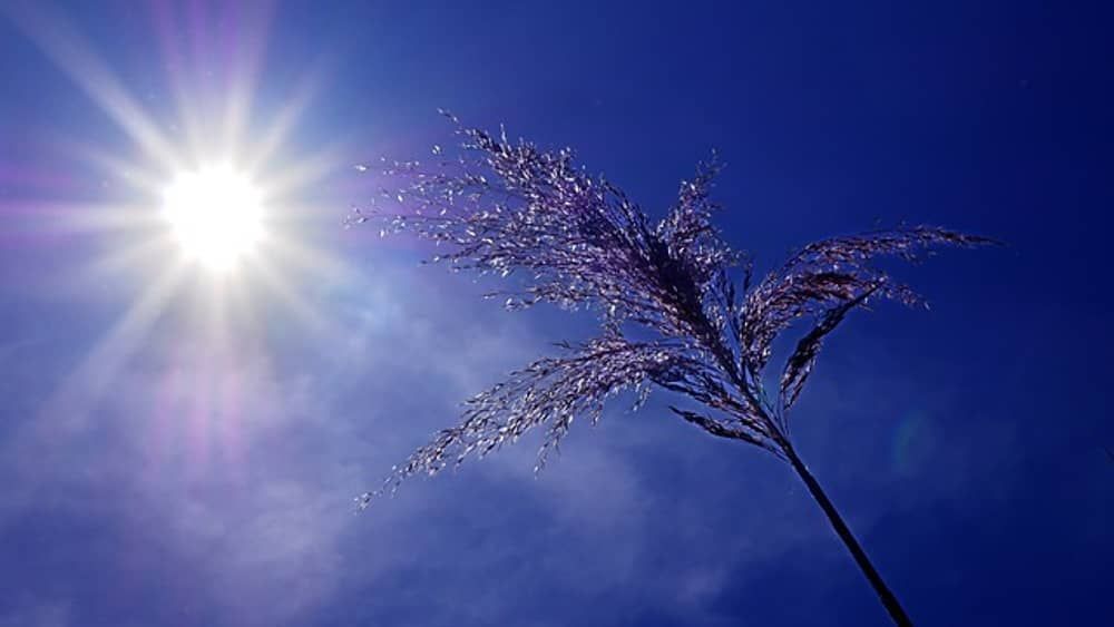 Onda de Calor? Cidade de Minas registra 40,6°C, temperatura mais elevada do Brasil 