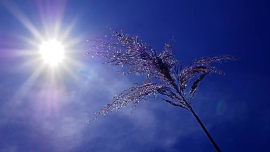Calor continua em várias cidades de Minas