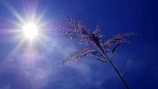 Calor continua em várias cidades de Minas