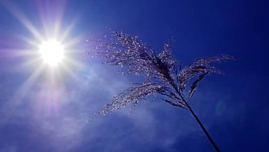Calor continua em várias cidades de Minas