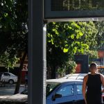 A flor e a náusea