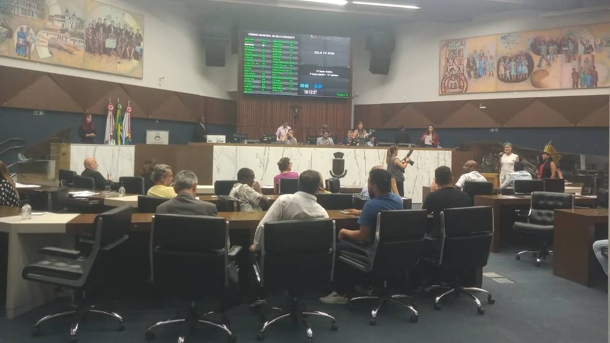 Câmara de BH aprova projeto que obriga motoristas a prestarem socorro a animais atropelados