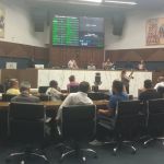 Câmara de BH aprova projeto que obriga motoristas a prestarem socorro a animais atropelados