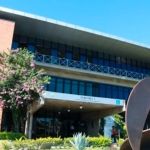 Combate à violência, capital do 'grau' e animais em hospitais: saiba o que foi votado em 'mutirão' na Câmara de BH