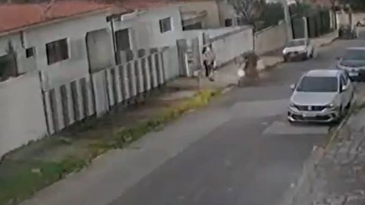 Câmeras de segurança flagraram o momento em que o cachorro entra na casa e morde o assaltante