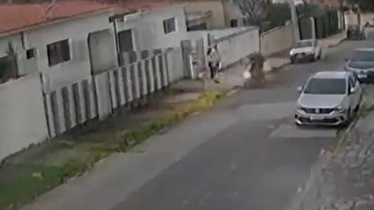 Câmeras de segurança flagraram o momento em que o cachorro entra na casa e morde o assaltante