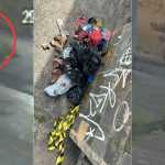 Recém-nascido abandonado no lixo em BH: suspeitos são ouvidos e liberados