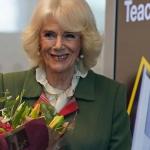 Camilla Parker apoia suposta amante do príncipe William e Kate Middleton enfrenta sogra, afirmam tabloides