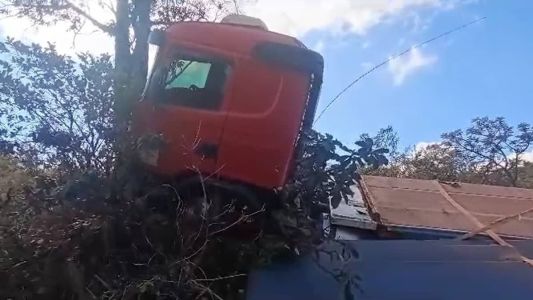 Caminhão colidiu com uma árvore após varar área de escape do Anel Rodoviário neste domingo (18)