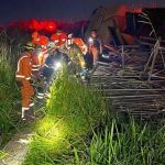 Motorista tomba caminhão após desviar de cachorro em rodovia no Triângulo Mineiro; veja imagens   
