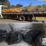 Homem é preso com mais de 100 tabletes de cocaína em Três Marias; droga estava escondida em pneus