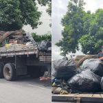 Caminhoneiro é preso com 3 toneladas de maconha e skunk na Grande BH