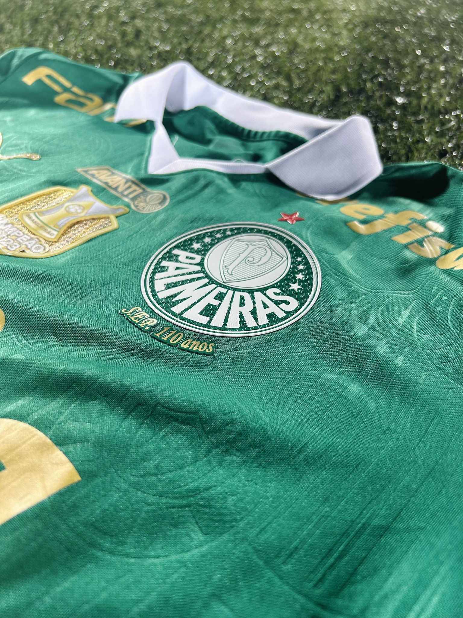 Marca italiana entra em concorrência para fornecer material do Palmeiras