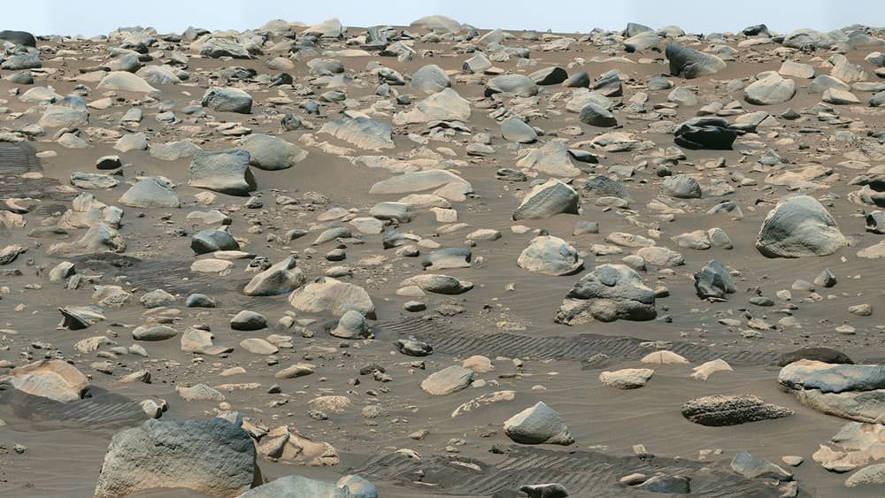 Nasa irá enviar nomes para Marte; veja como mandar o seu